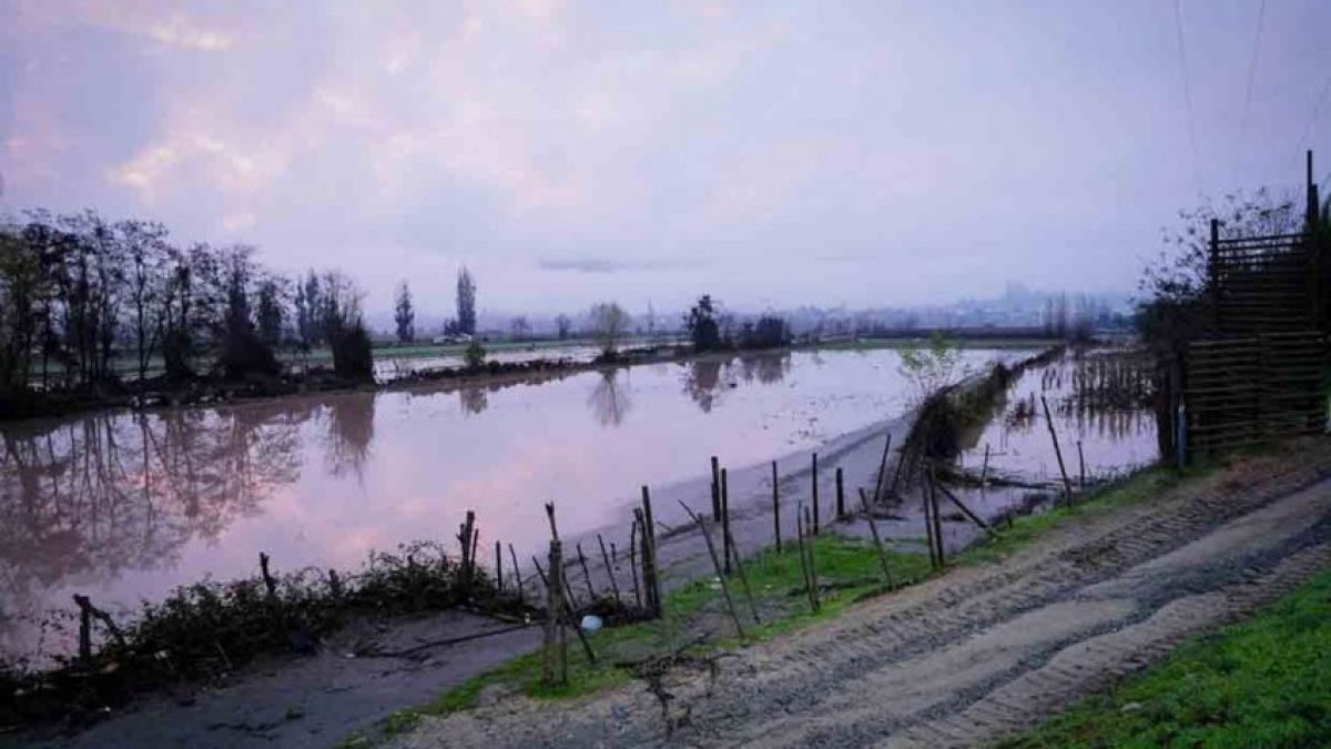 MEMORIA-SOCIAL-FLUVIAL-RIESGO-850x500